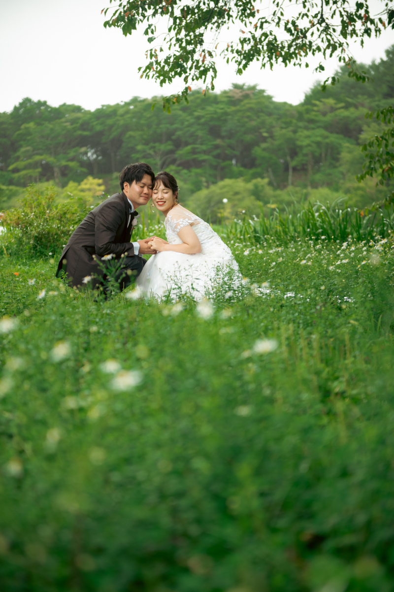 シロツメクサにかこまれて