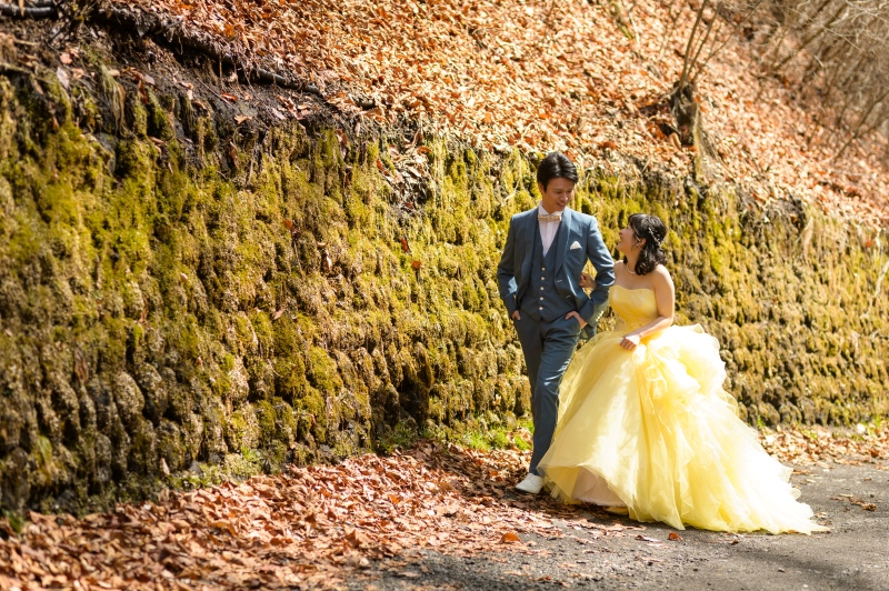 落ち葉の絨毯を背に