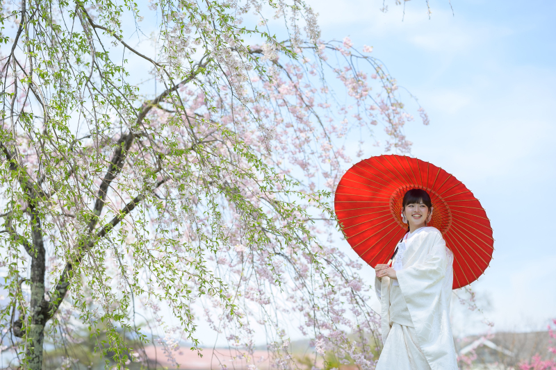 桜と白無垢
