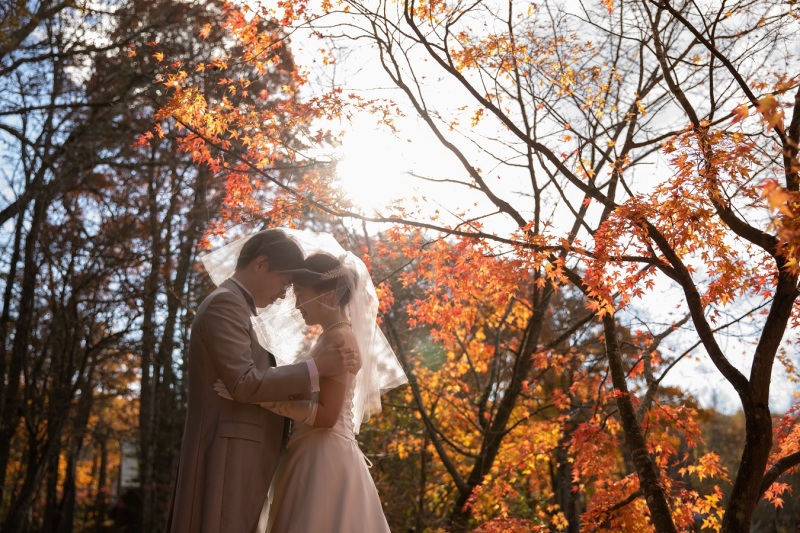 ヴェールに包まれて