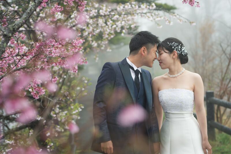 桜×ロケーション×洋装