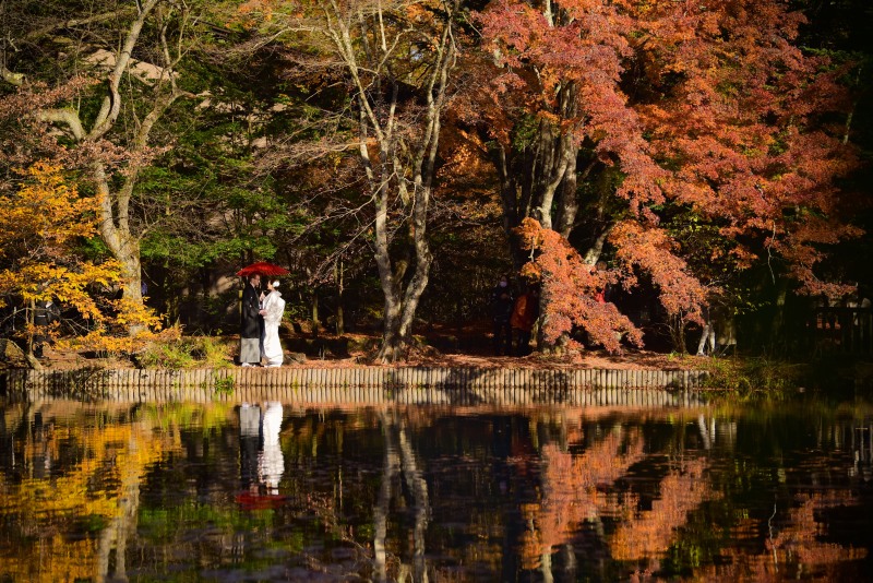 絵画のような一枚