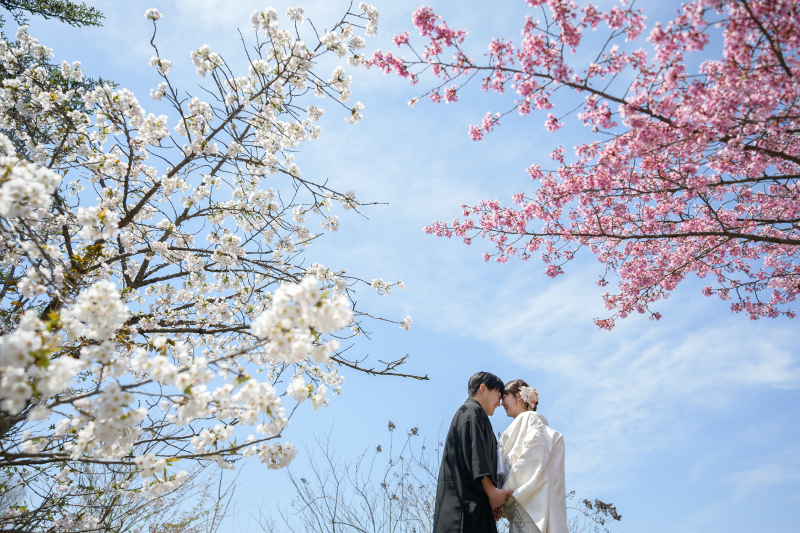 四季折々の背景にも映える、純白の白無垢