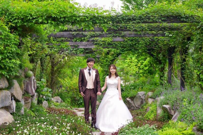 まるで森の中にいるような一枚