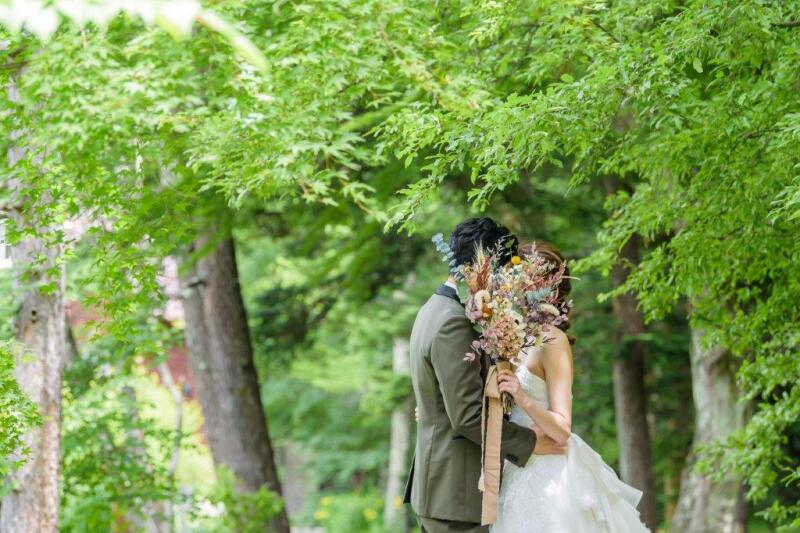 美しい新緑の中での写真撮影