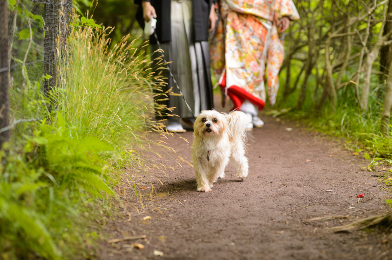 STYLE+軽井沢_ペットと一緒に撮影できる