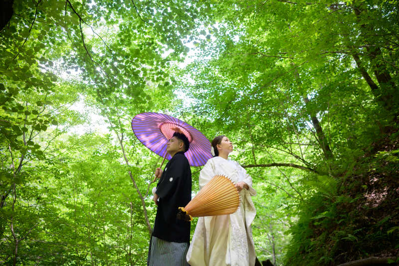 緑がきれいな季節の撮影もおすすめです♪