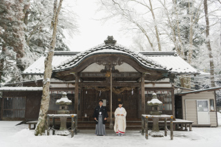 好きな季節で特別な写真を撮りましょう♪