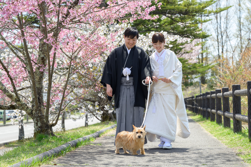 【桜｜矢ケ崎公園撮影プラン】上質色打掛&times;袴【レタッチ済100枚以上全データ付き】