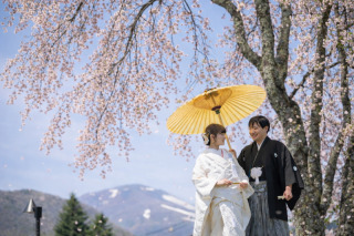 【桜|矢ケ崎公園撮影プラン】上質色打掛×袴【レタッチ済100枚以上全データ付き】