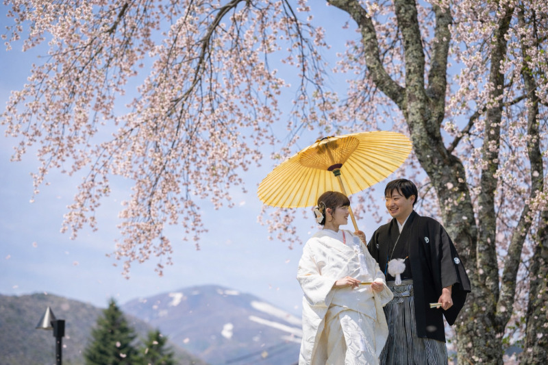 【桜｜矢ケ崎公園撮影プラン】上質色打掛&times;袴【レタッチ済100枚以上全データ付き】