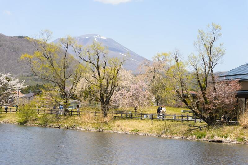 【矢ケ崎公園撮影プラン】上質色打掛×袴【レタッチ済100枚以上全データ付き】