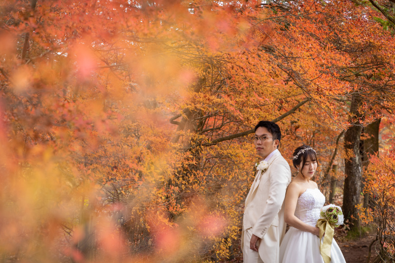 ※残り僅か※【紅葉満開フォトプラン】選べる上質ドレス×タキシード、ヘアメイク、写真データ100枚 ※天候保証付