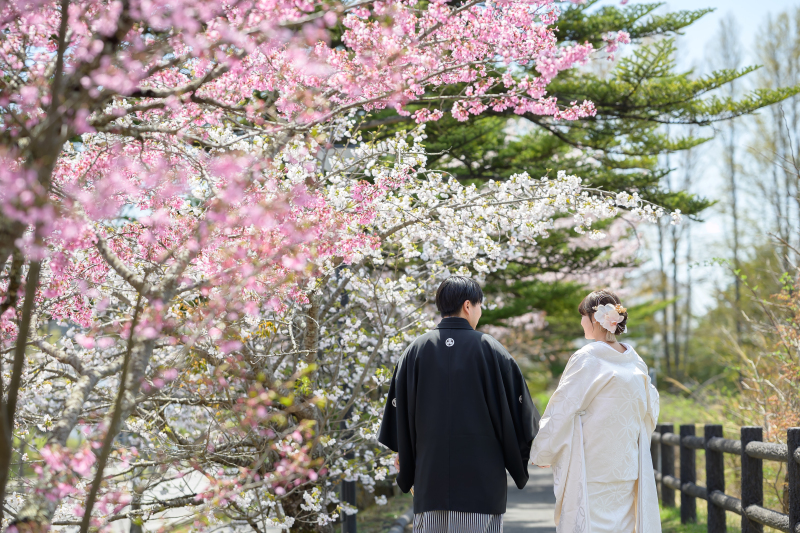 【桜｜矢ケ崎公園撮影プラン】上質色打掛&times;袴【レタッチ済100枚以上全データ付き】