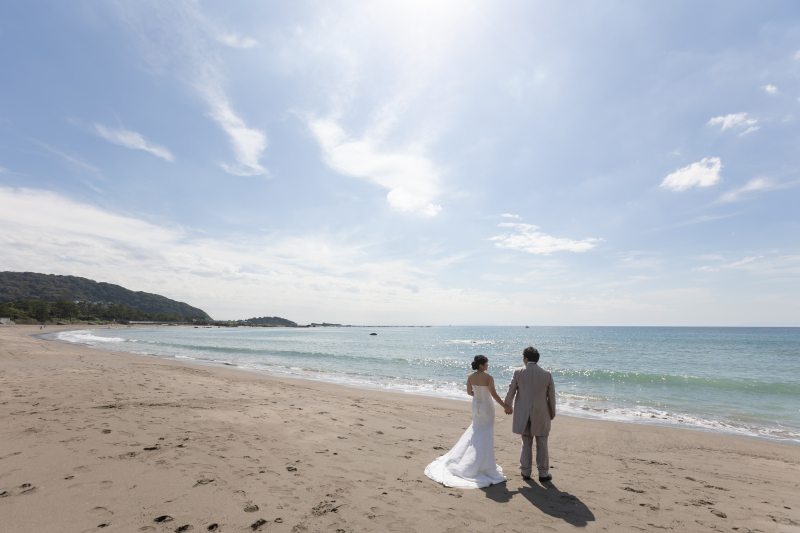 海を背景に広がるトレーンの美
