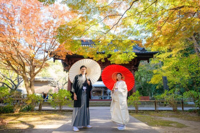 グラ―デーションの自然