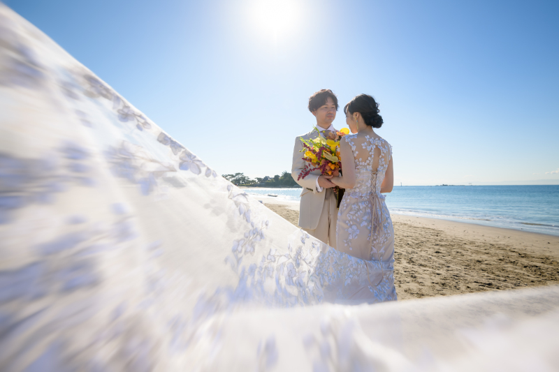 トレーンをなびかせて