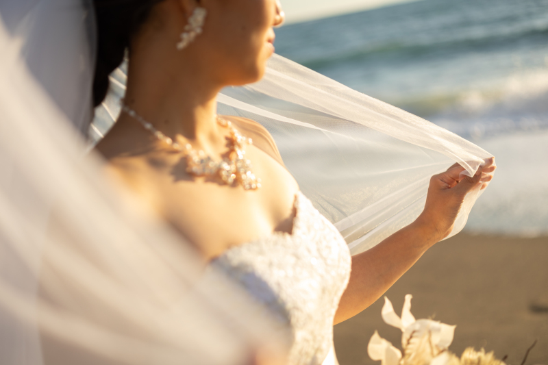 夕日に照らされて