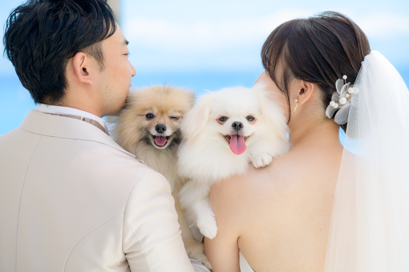 STYLE＋横浜・葉山_ペットと一緒に撮影できる