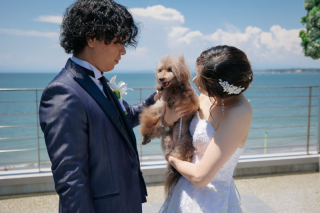 STYLE＋横浜・葉山_たいせつなペットとのフォトウェディング