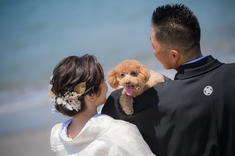 STYLE＋横浜・葉山_ペットと一緒に撮影できる