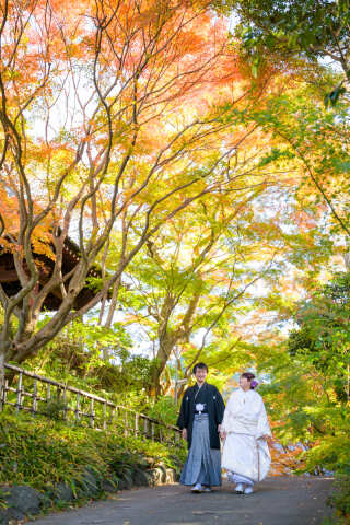 STYLE＋横浜・葉山_紅葉フォト
