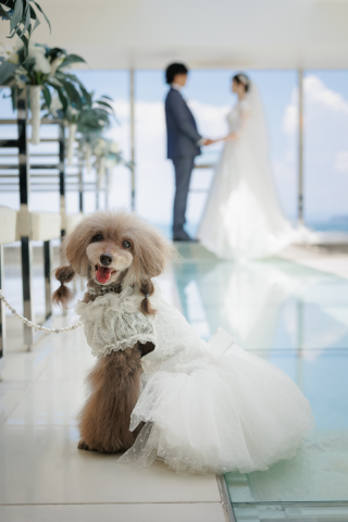 STYLE＋横浜・葉山_チャペル・館内撮影