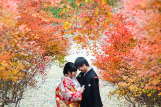 ロケーション・会食付きプラン♪