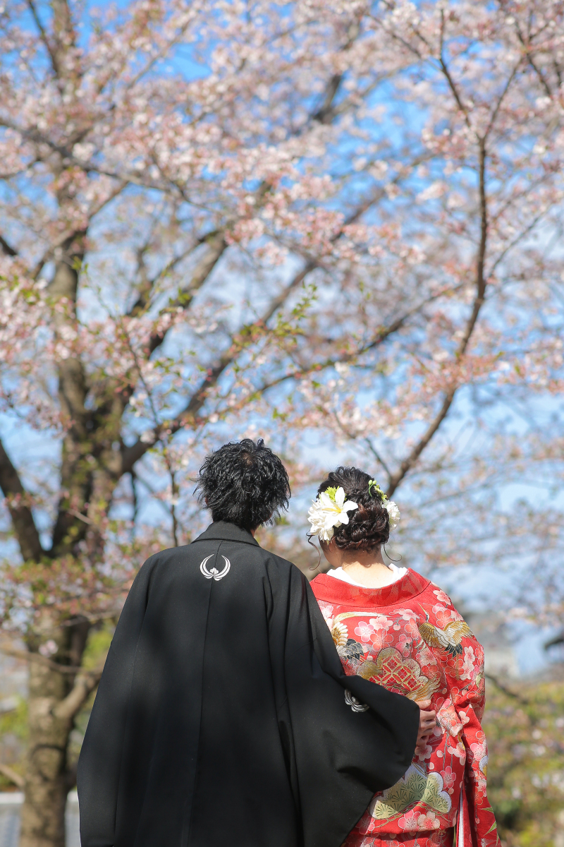 頭を寄せ合って…