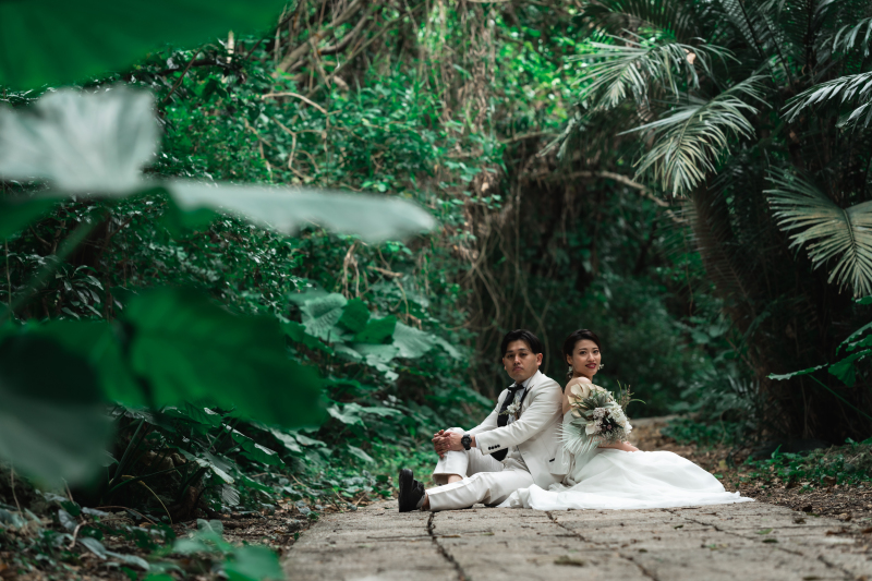 南国らしい写真