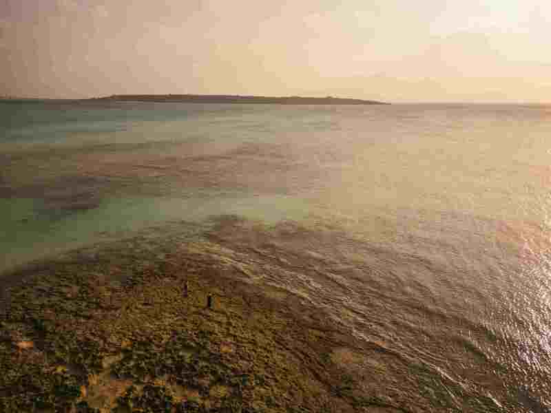 綺麗なサンセット!