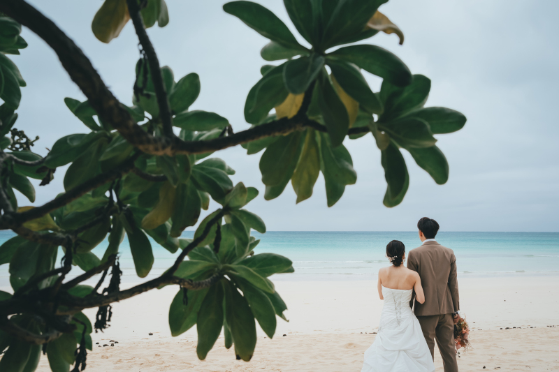 南国の自然を♡