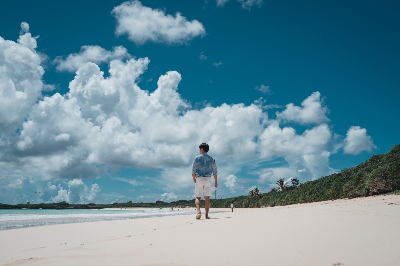 たくましい背中