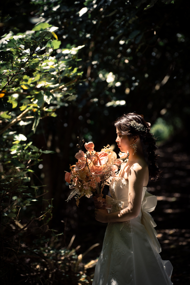 こもれびの中で