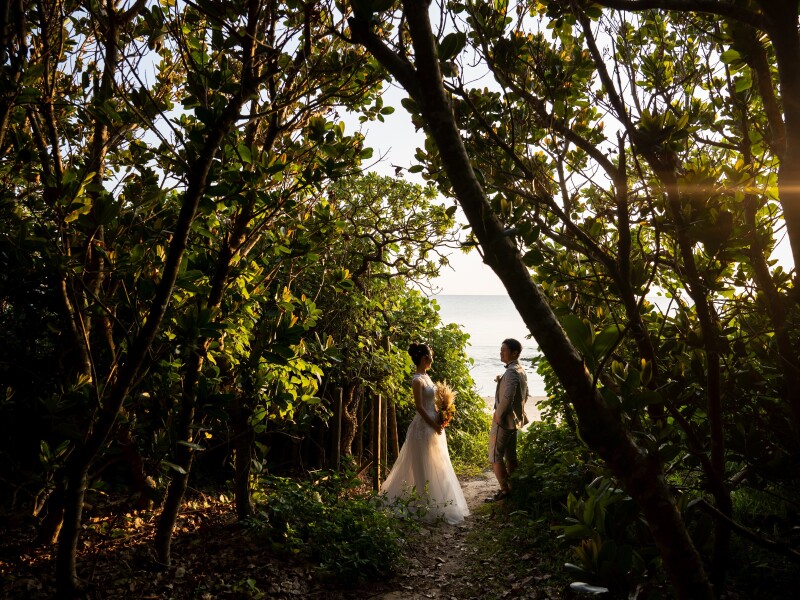 自然いっぱいのショット