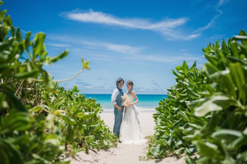 ビーチをのぞいて