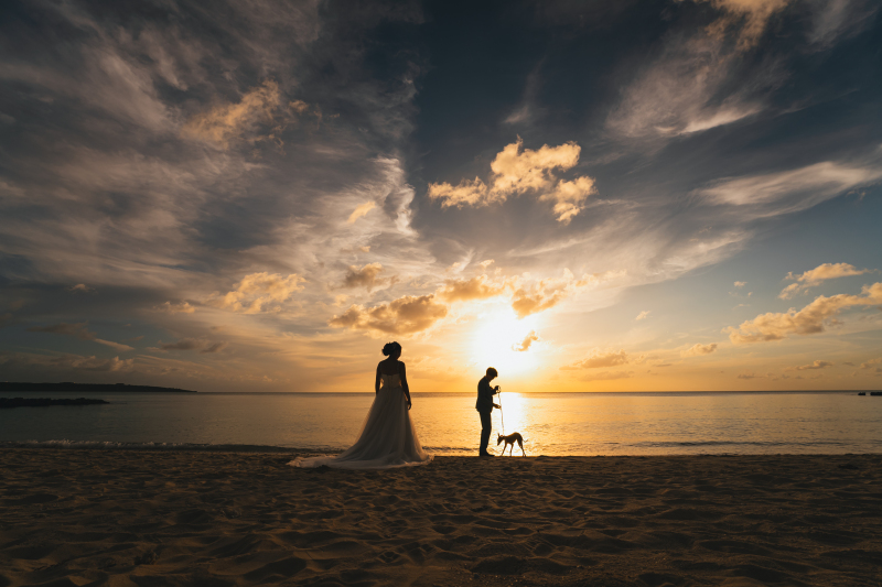 幻想的なサンセット