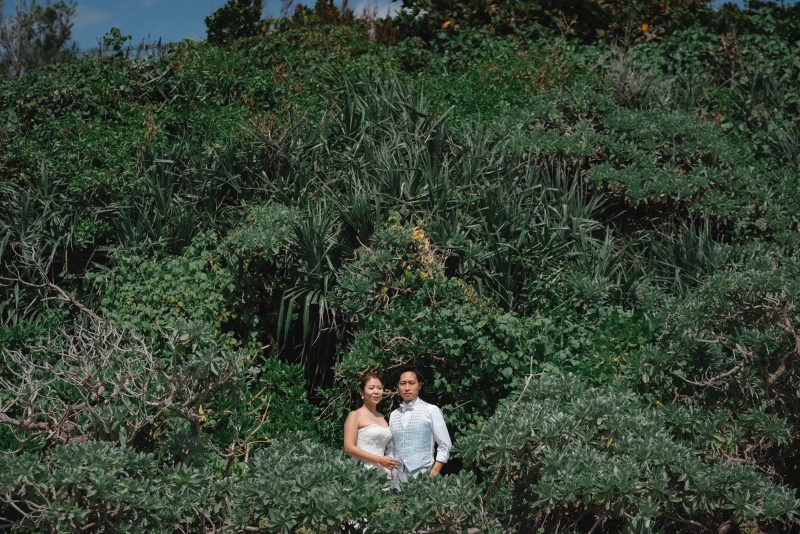 緑に囲まれて…