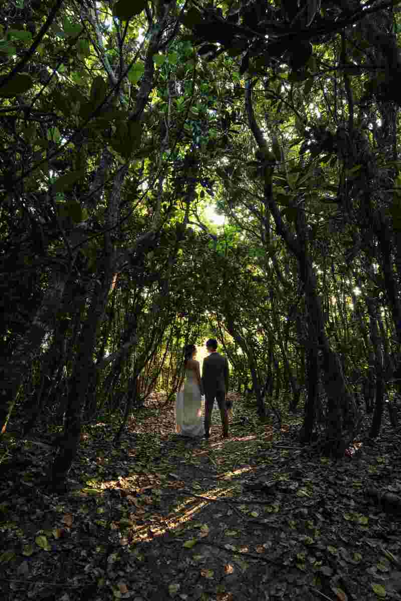 グリーンも取り入れて！