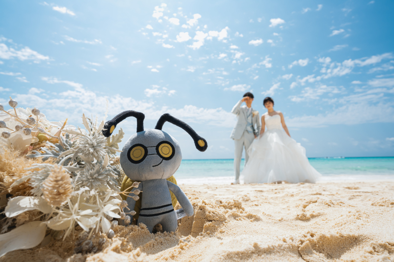 ぬいぐるみと！