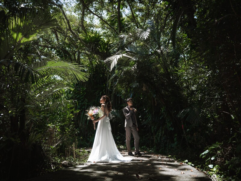 木漏れ日の中で