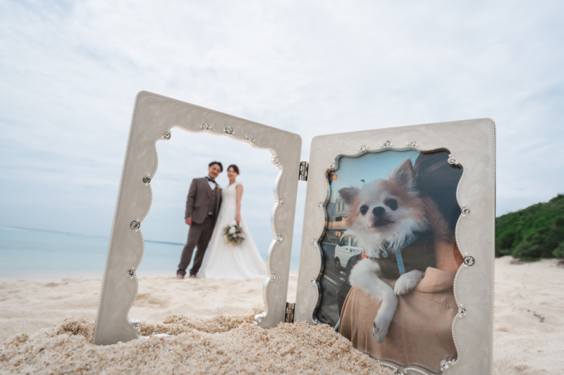 ワンちゃんと一緒に♡