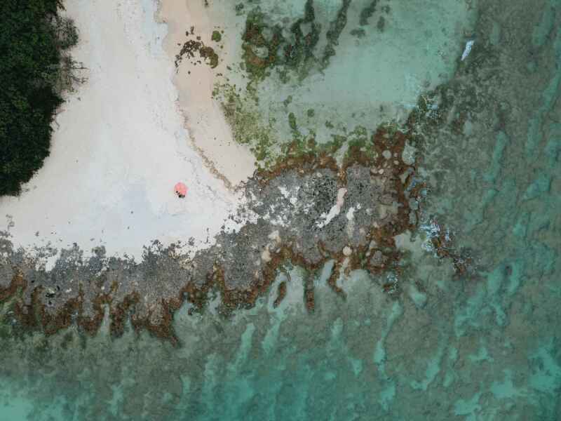 ドローン撮影！