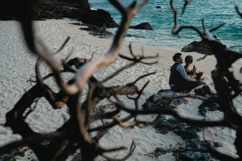 木の間からお二人の姿を捉えたスタイリッシュな一枚