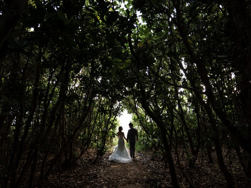 ビーチへ続く木のトンネル