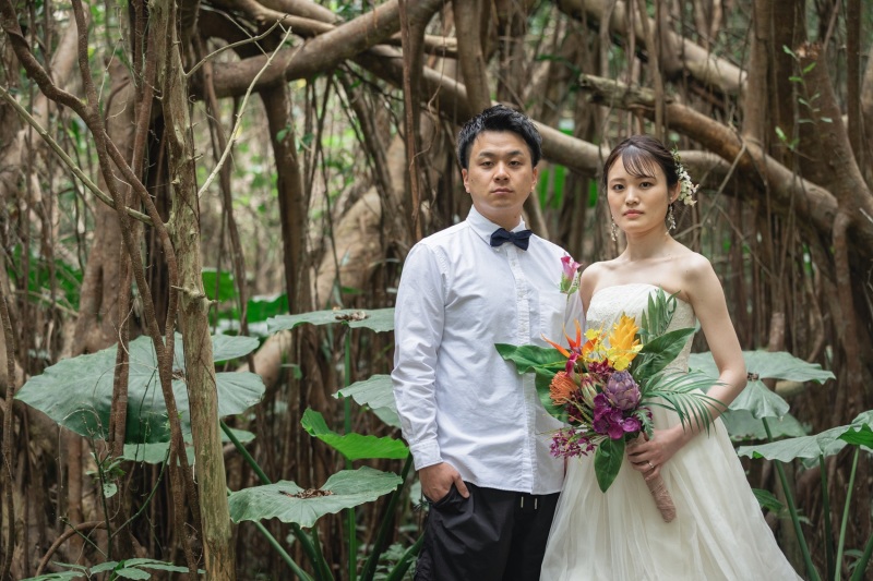 樹木の生い茂る森