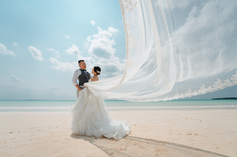 ベールの美しい１枚