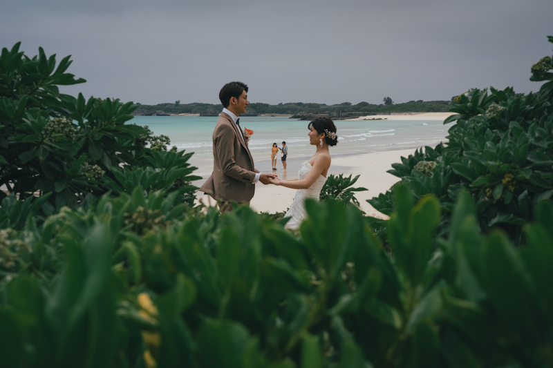 緑も映えるお写真