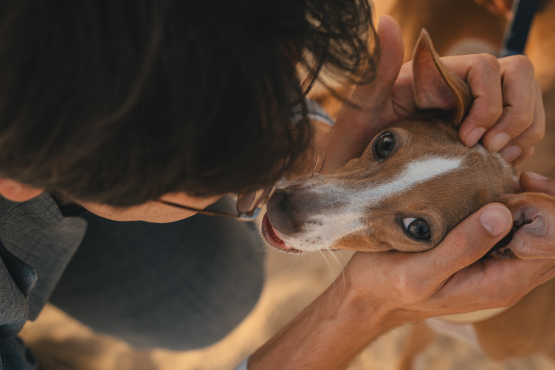 ワンちゃんショット♪