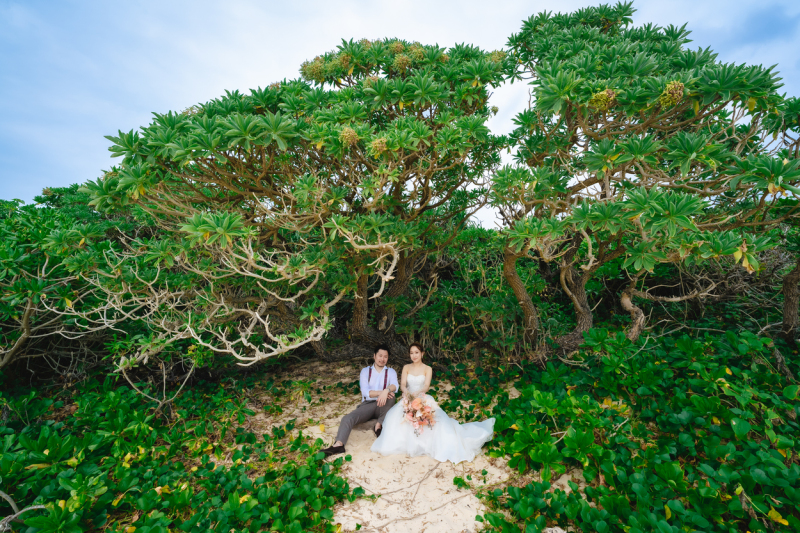 大きな木の下で